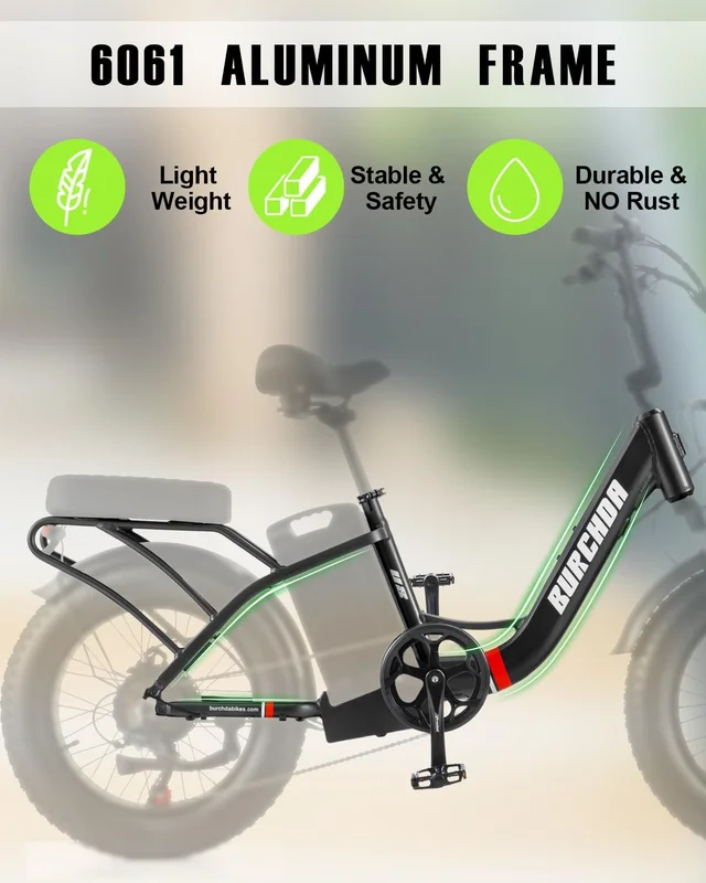 Electric Bike for Adults 20'', 800W UL2849 48V 32AH 110Miles Long Range Ebike up to 30mph Full Suspension E-mountain bike 4.0 Fat Tire Off-road, 2 Seats outdoor Dual Disc Brakes Electric bicycle