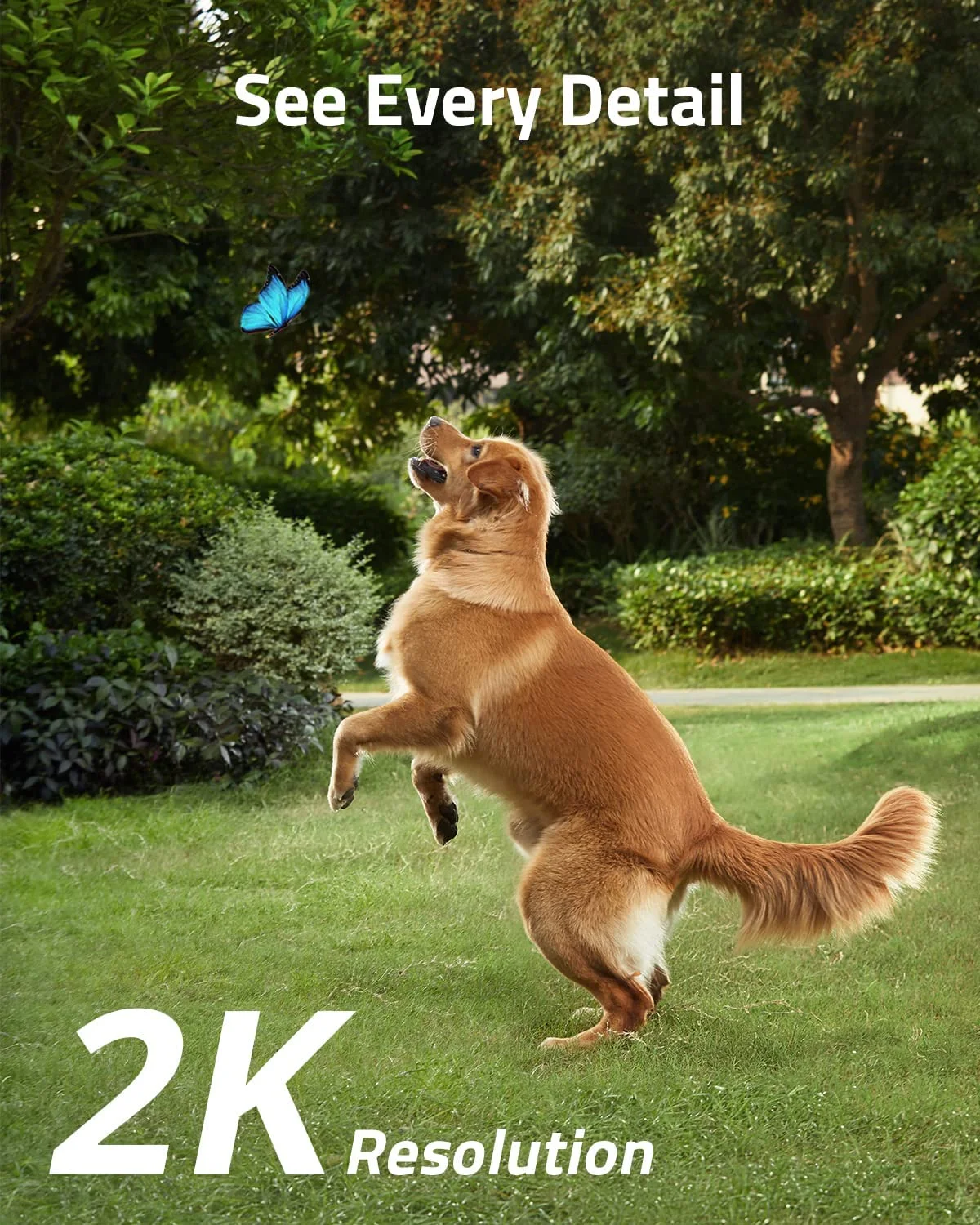 Eufy SoloCam S230 Solar Security Camera S40, 4K UHD, 4-Cam Kit, White, 4-Pack